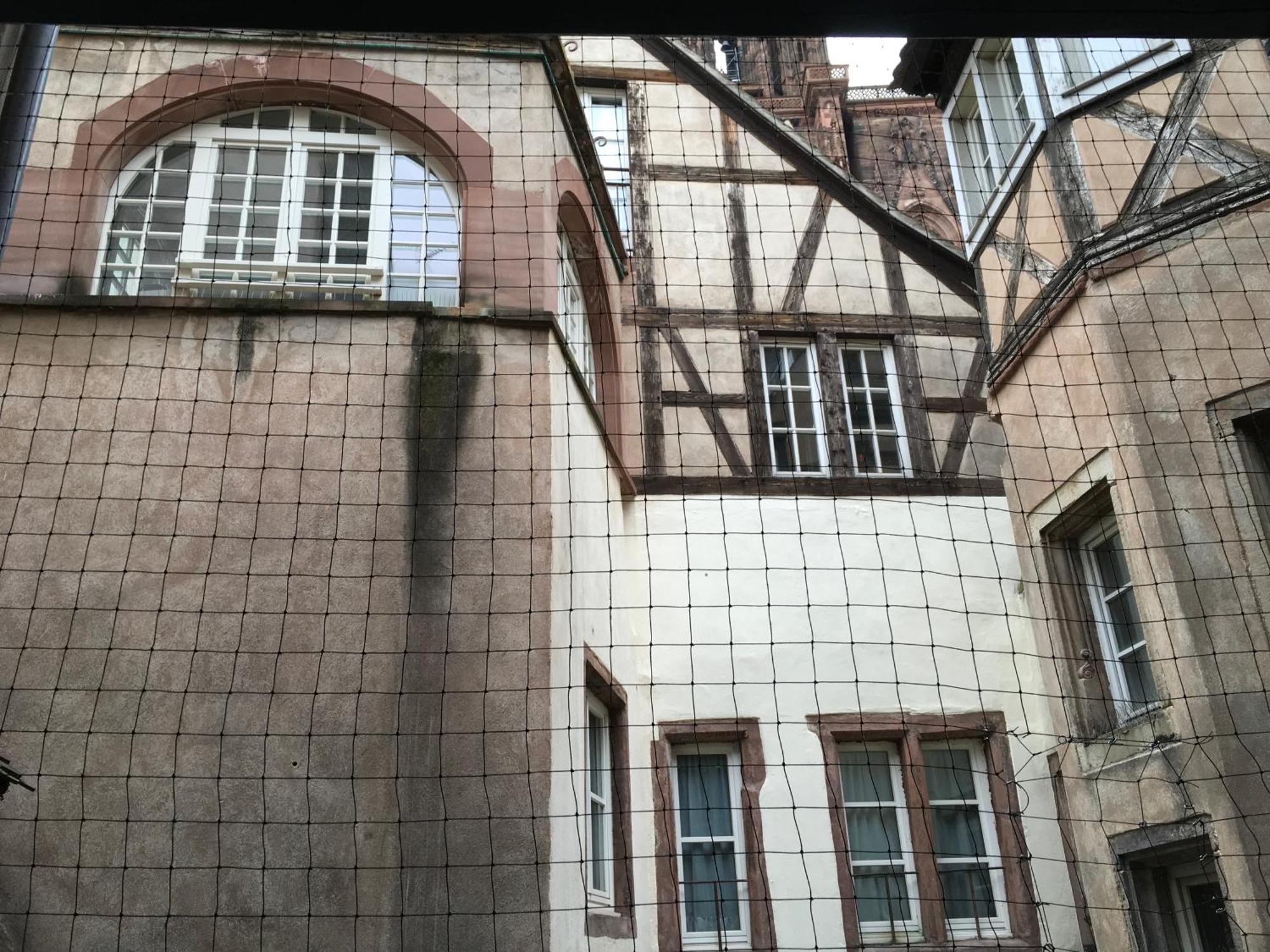 Cathedrale Leilighet Strasbourg Eksteriør bilde